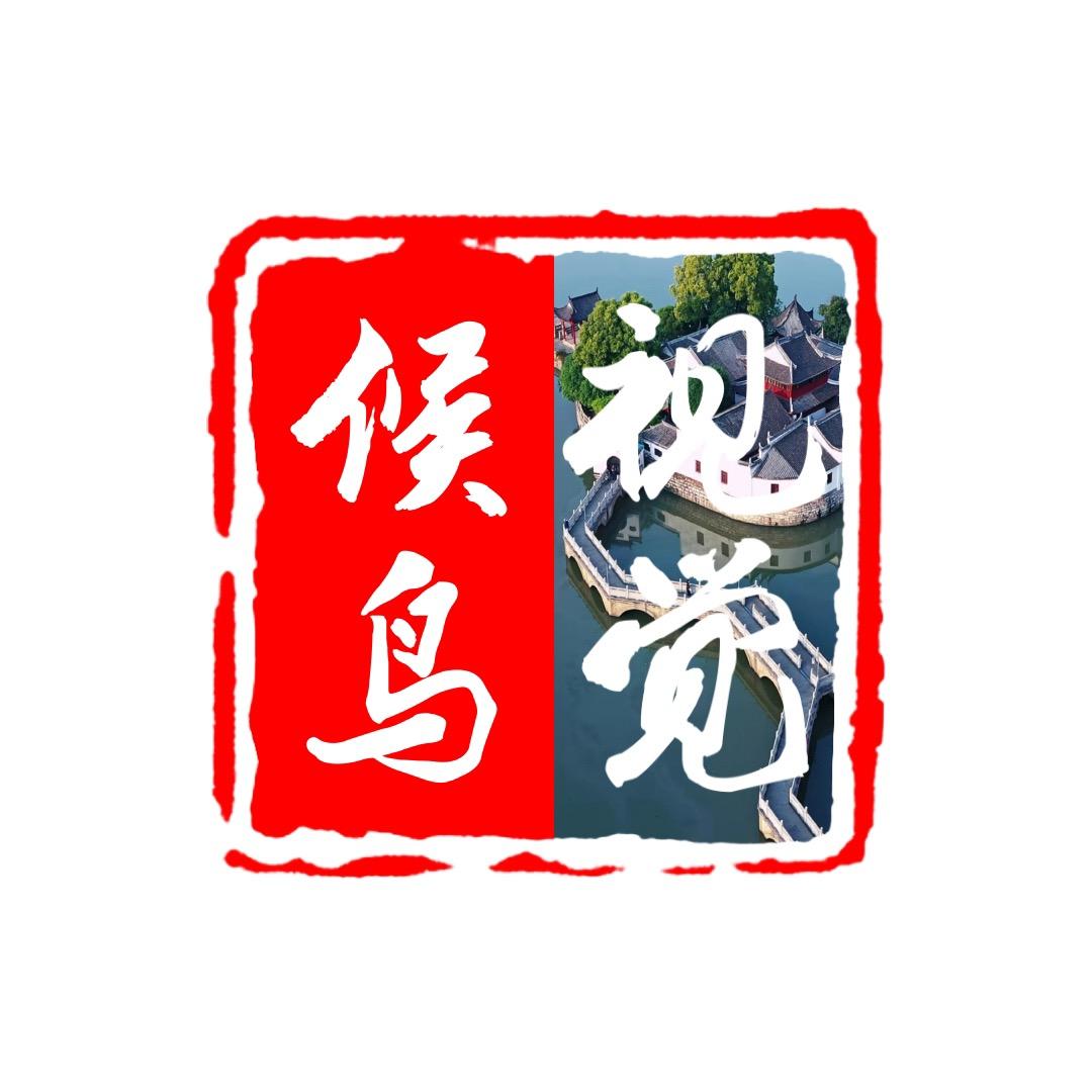 候鸟视觉