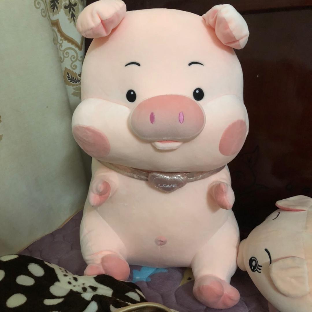 宝🐷