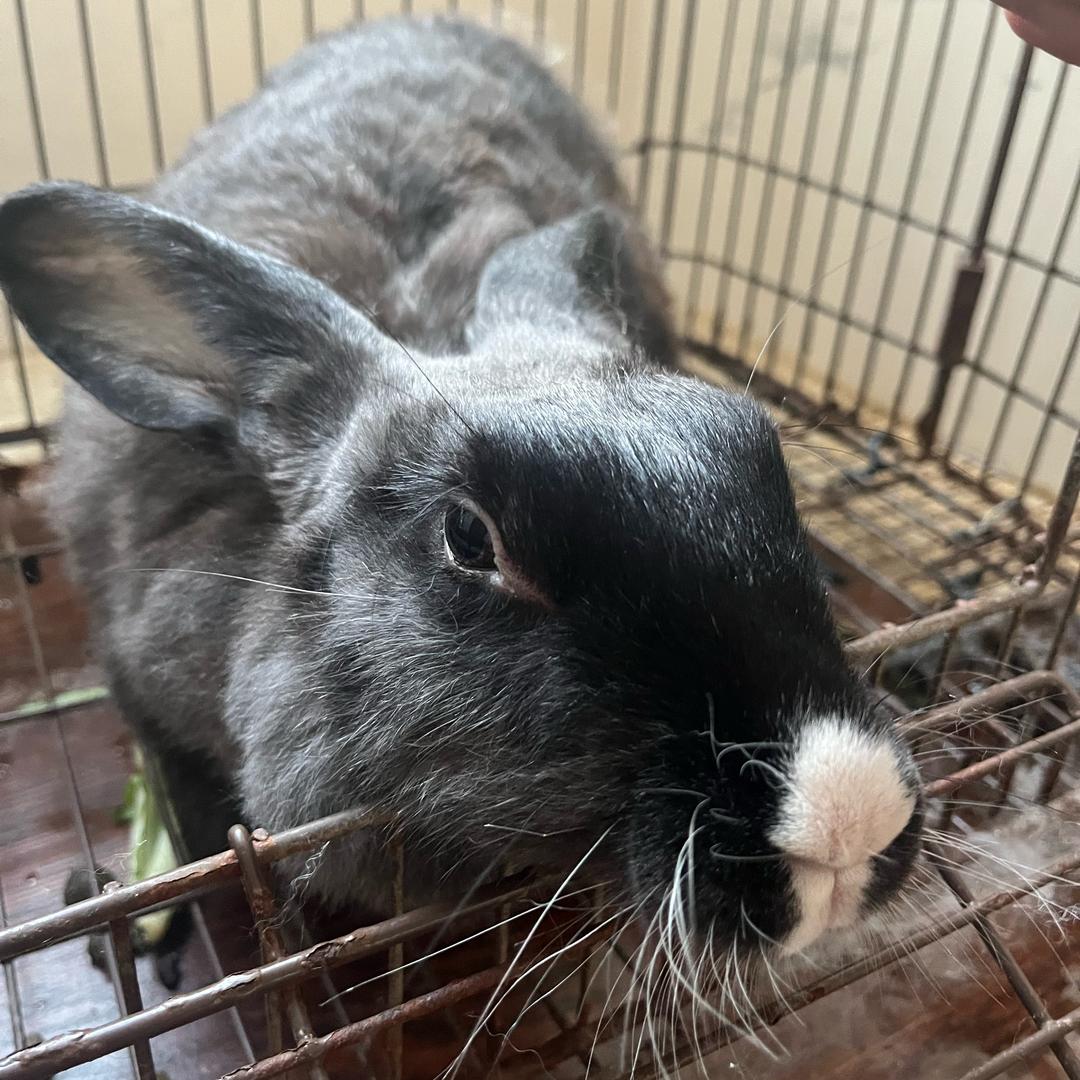 🍀财源广进🌈