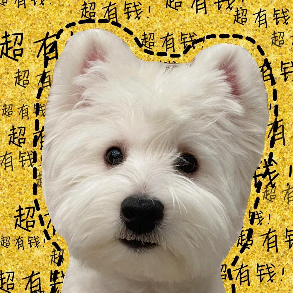 高高高大胖