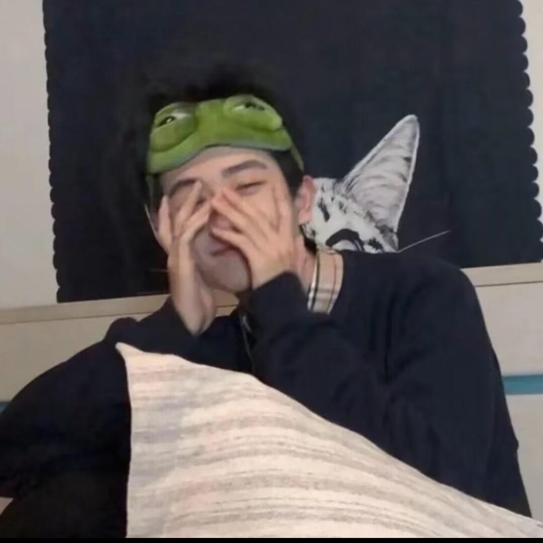 幕鹤鹤💤