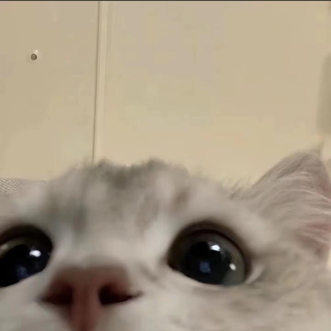 勿忘-