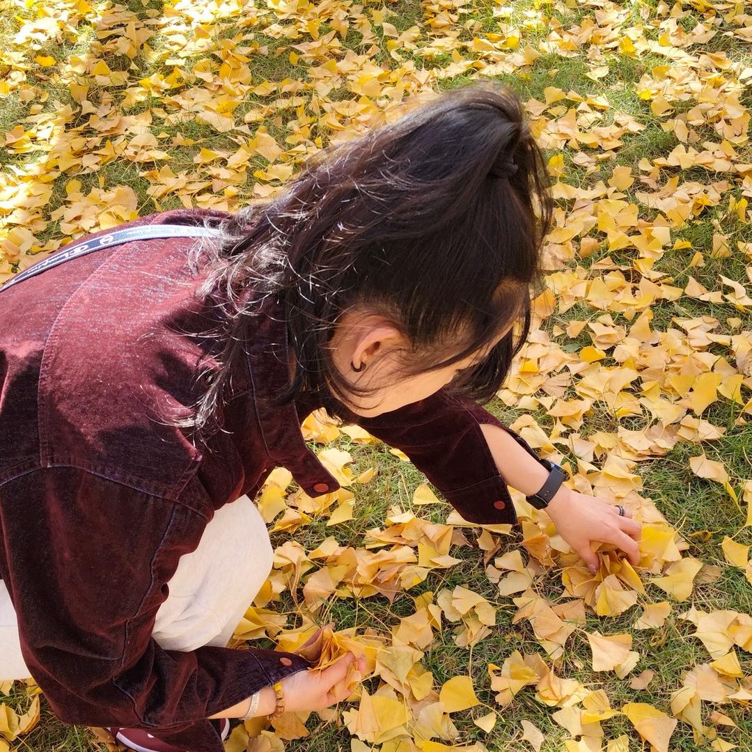 🫥浪个哩个浪🌻