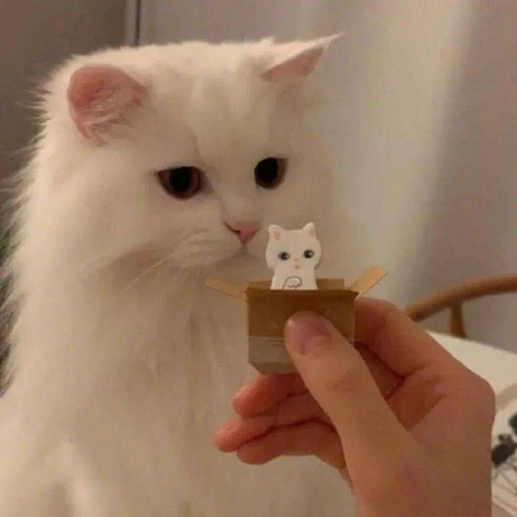 拜托不要失去梨汁