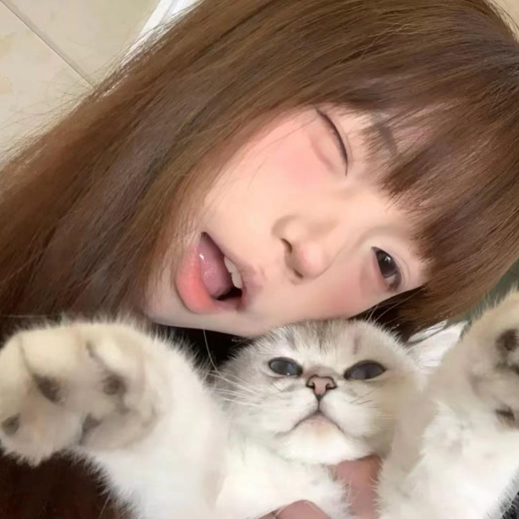 冰块小猫