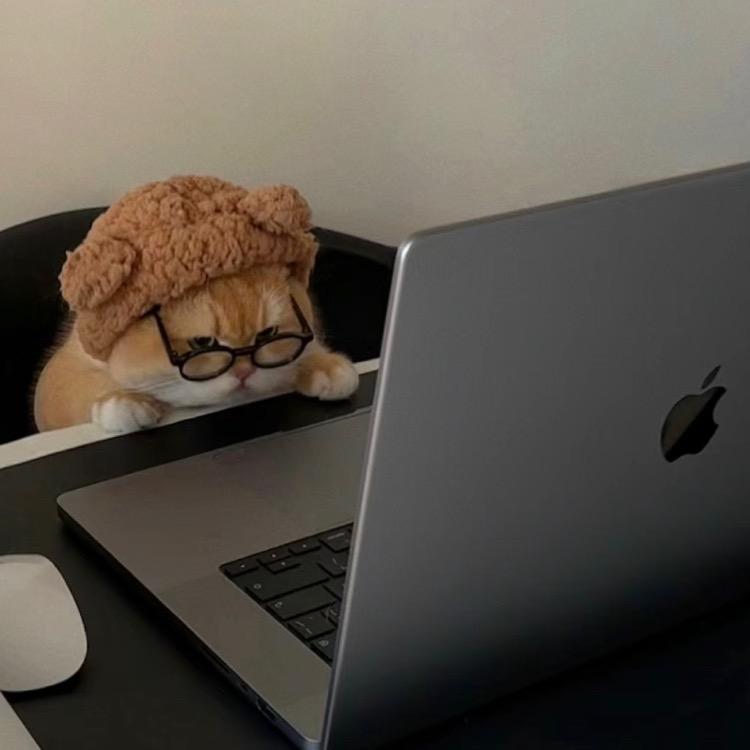 奥夫斯基·卡加莎·喵喵