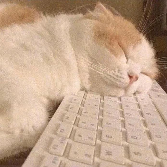 来一罐草莓汽水