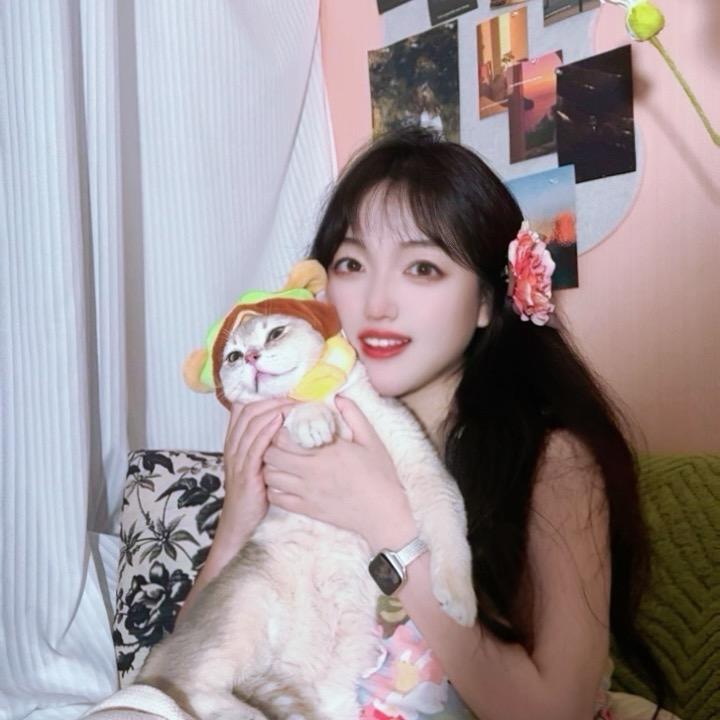 笨蛋宝哥