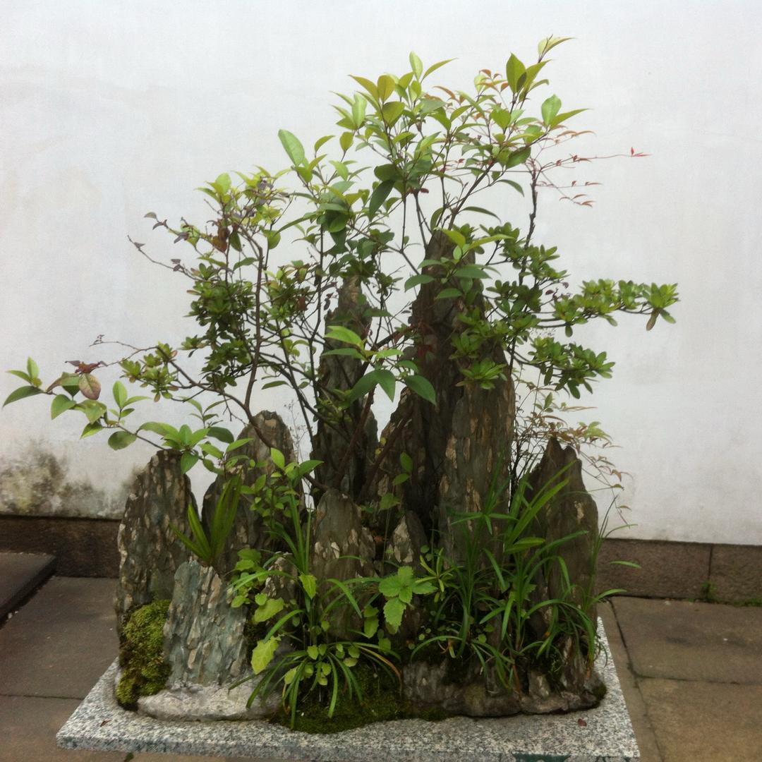 烽火夜狼