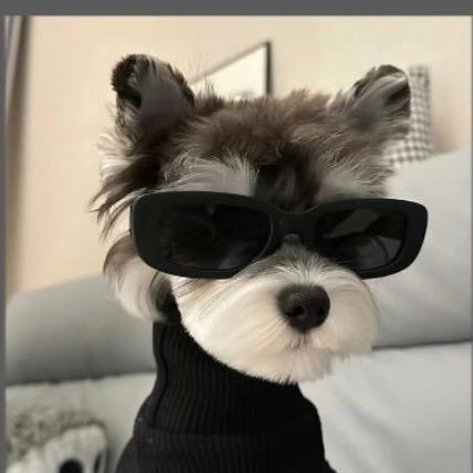 耀团  許愿的玄