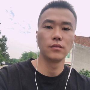 泰迪兄（成都精品泰迪贵宾）