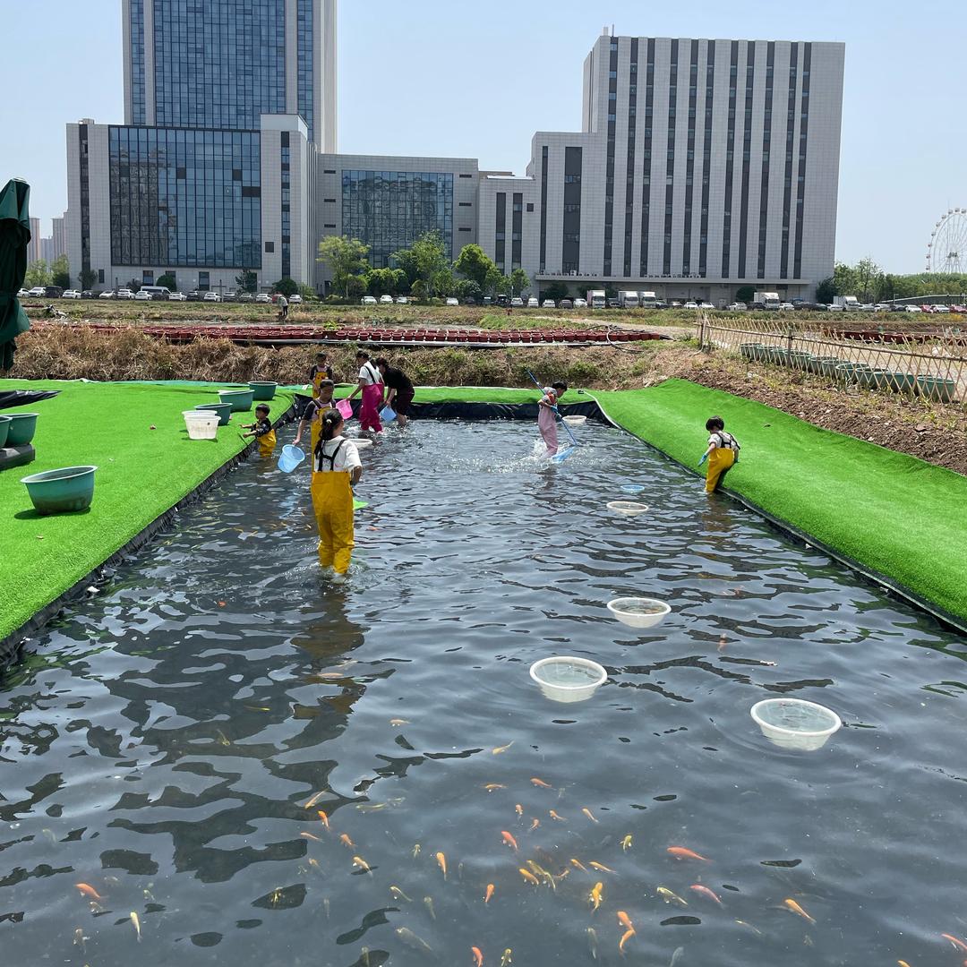 栖花阁园艺清水摸鱼