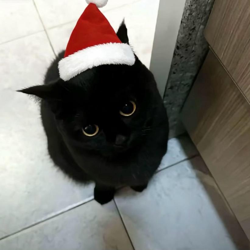 家穷人丑农村户口