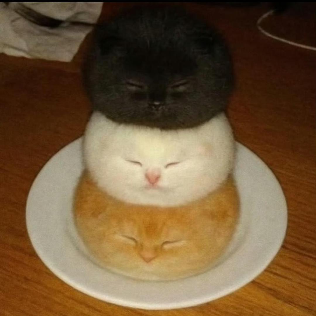 _mTxTm_
