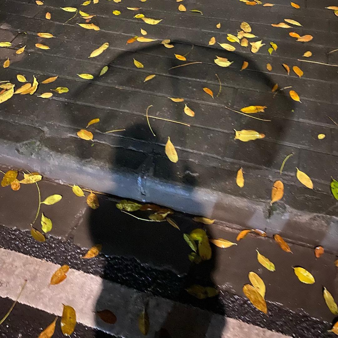 花木兰