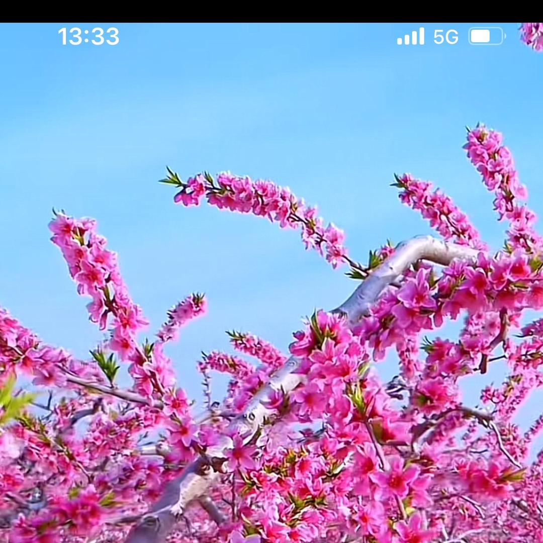真皮女鞋煜霖