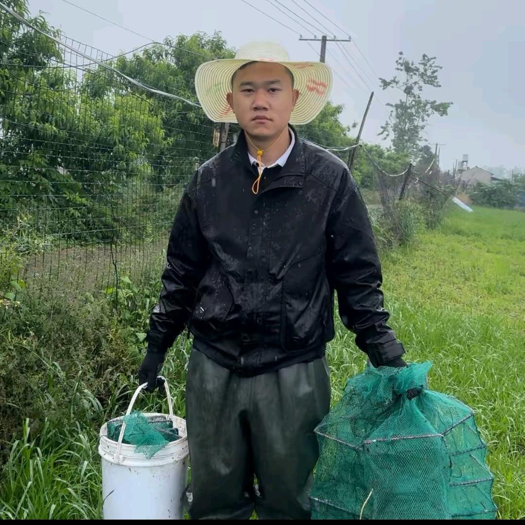 竣富生鲜土货黄鳝