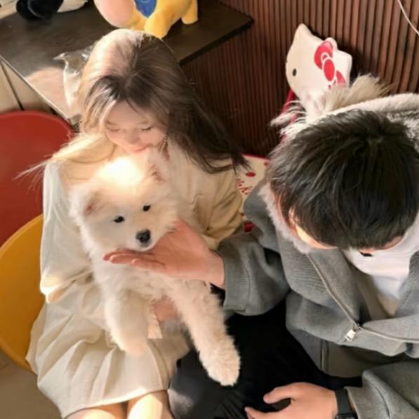顾蒽妤🐾