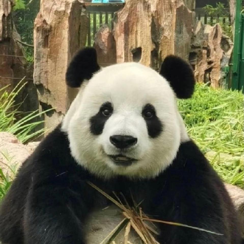 千嶂里，长烟落日孤城闭
