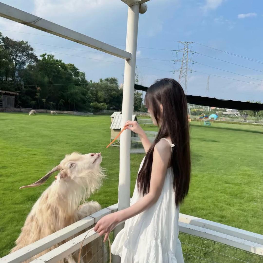 椰᳐椰᳐卷੭ﾞ