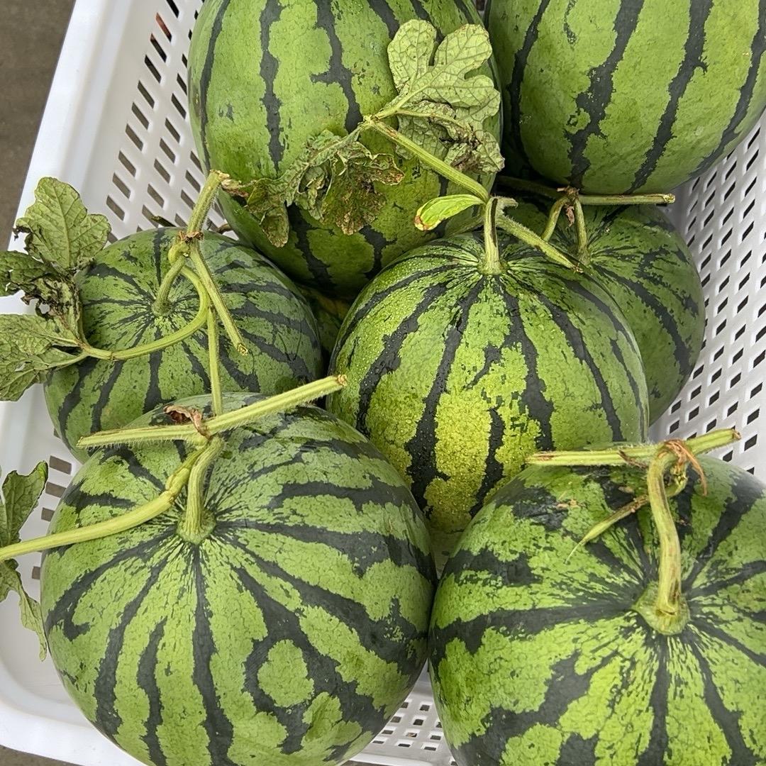 昭阳区二十四鲜果蔬生活坊