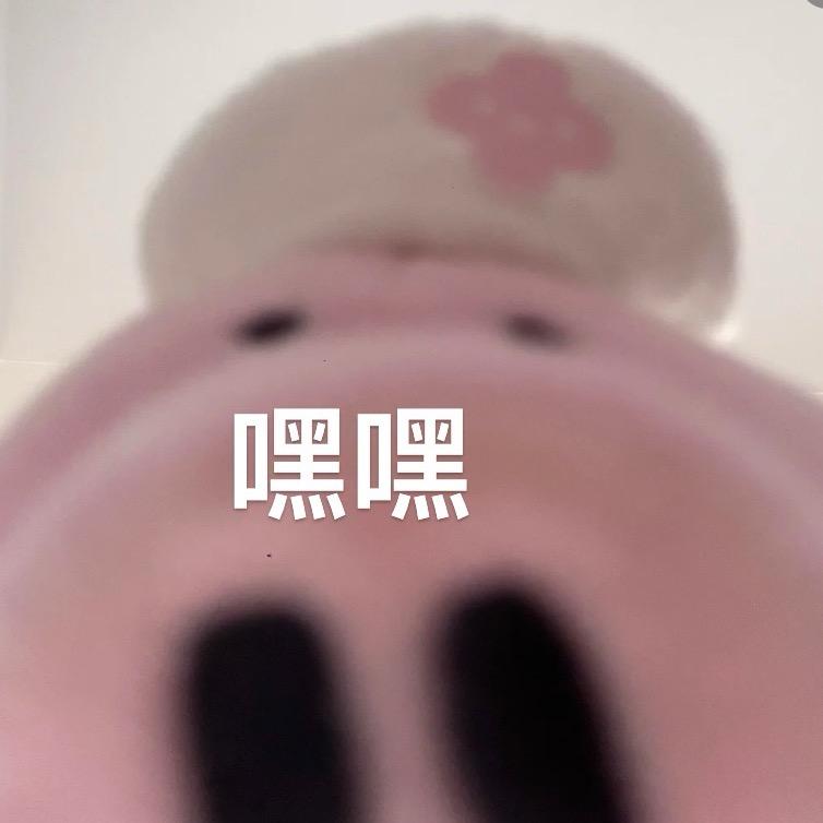 migo猫