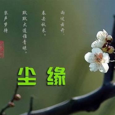 尘缘