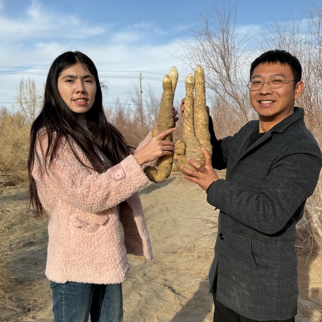 疆汉搭档特产铺