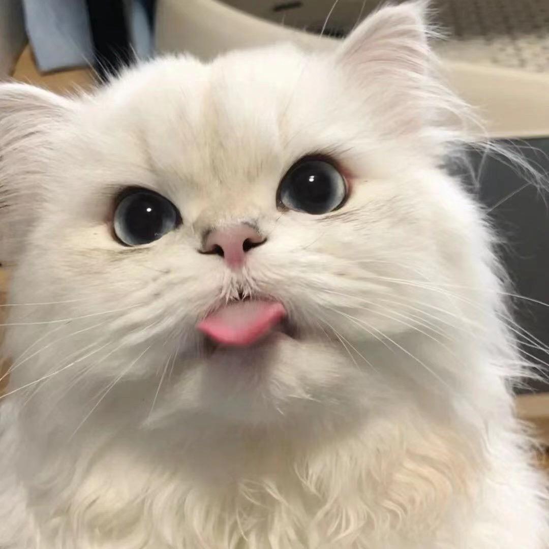 池