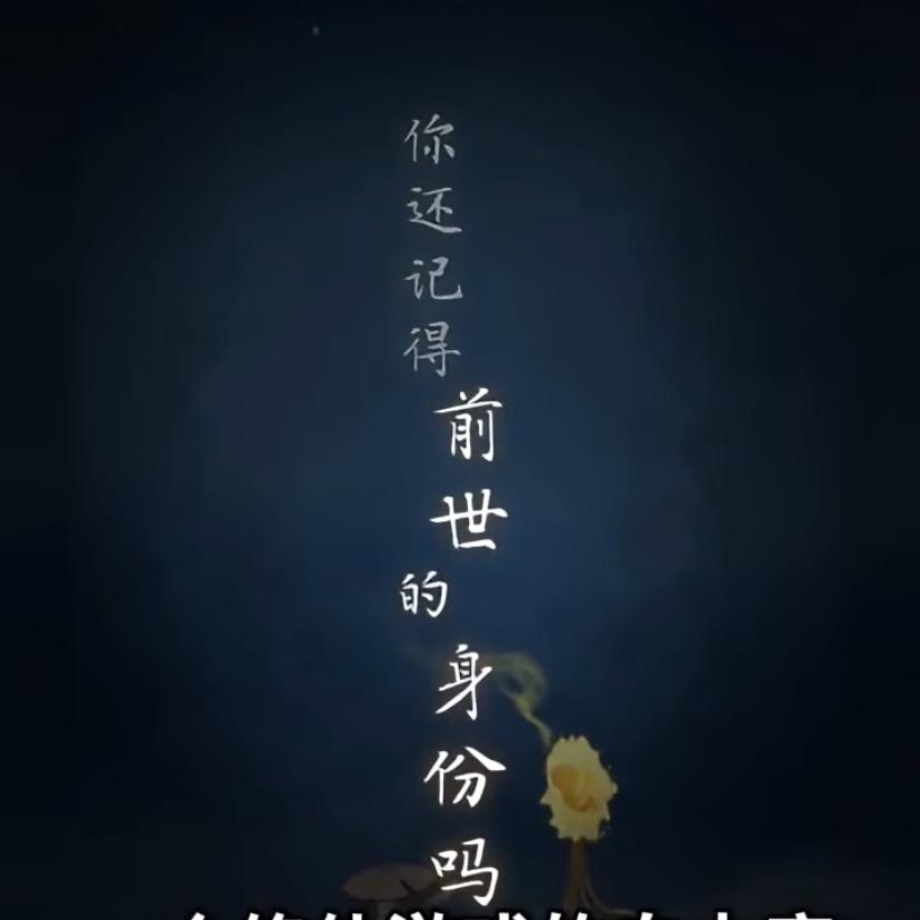 啾啾揪