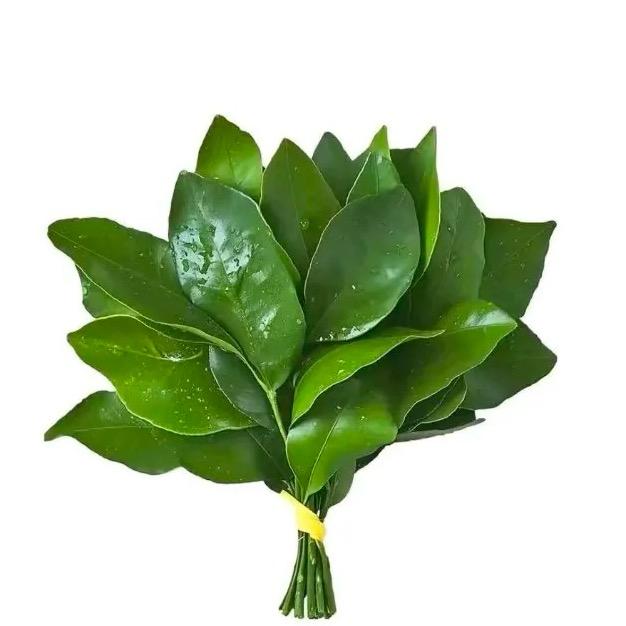 想要睡个好觉