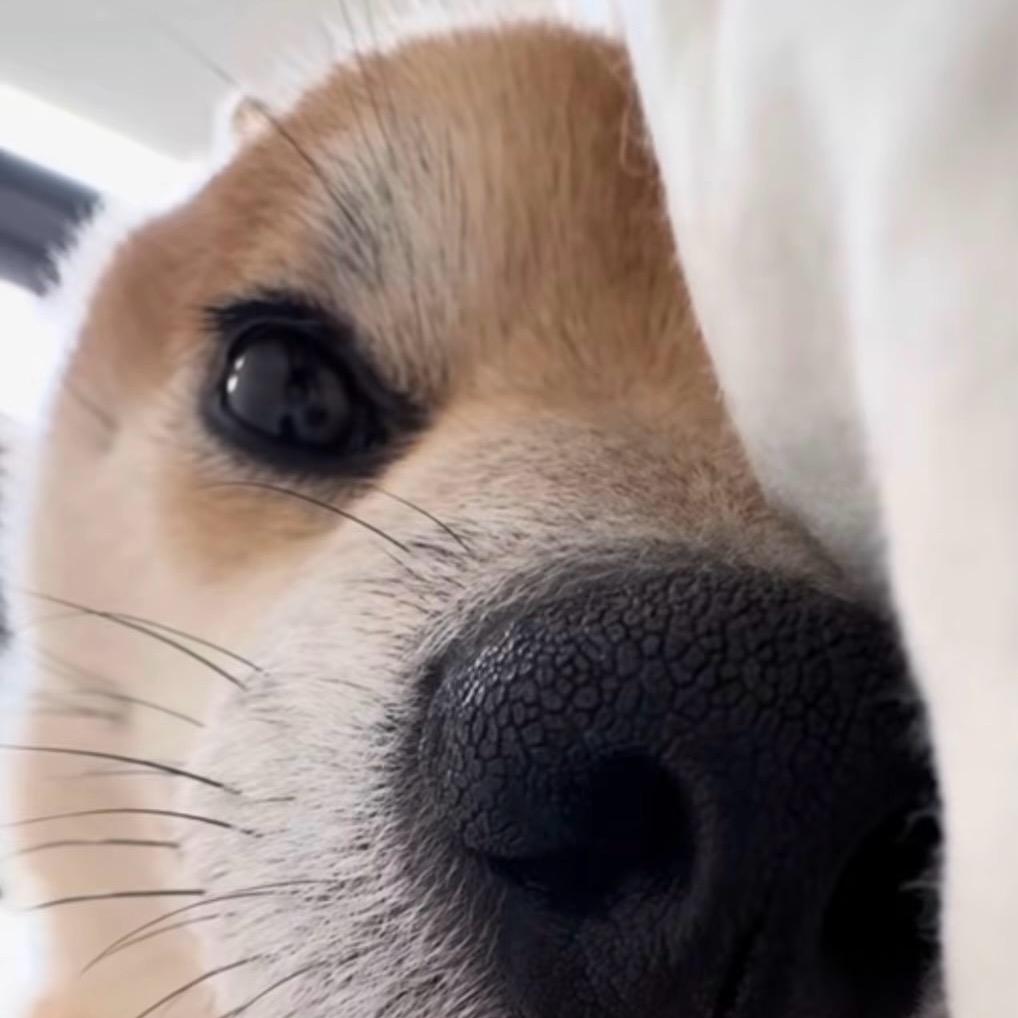 ︇︎ㅤ