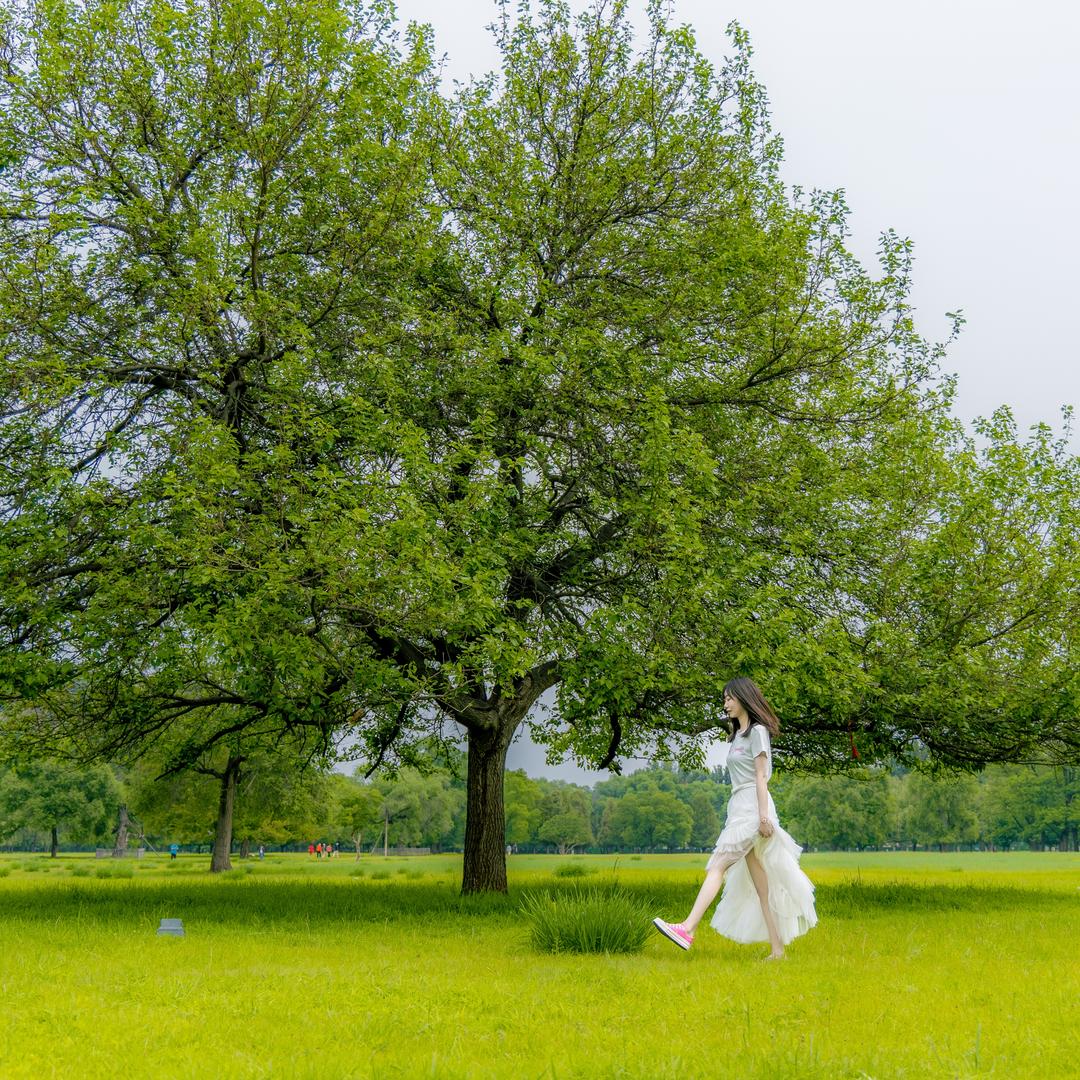 🍦_ɪᴄᴇ_ᴄʀᴇᴀᴍ