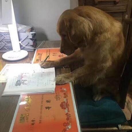 莲池区蜜春堂游戏搞搬服务馆