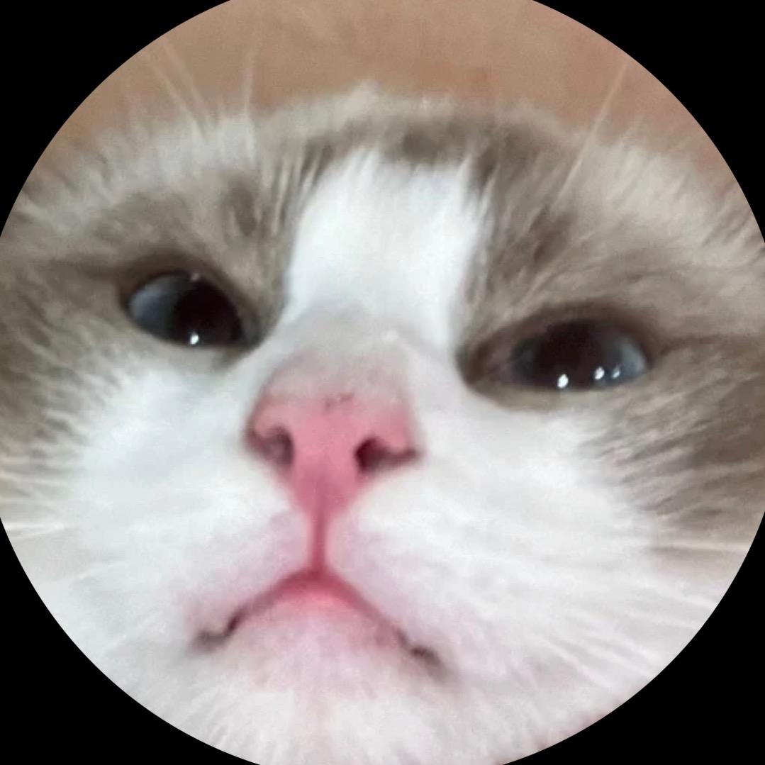 宠物生活馆（猫狗救助收留）