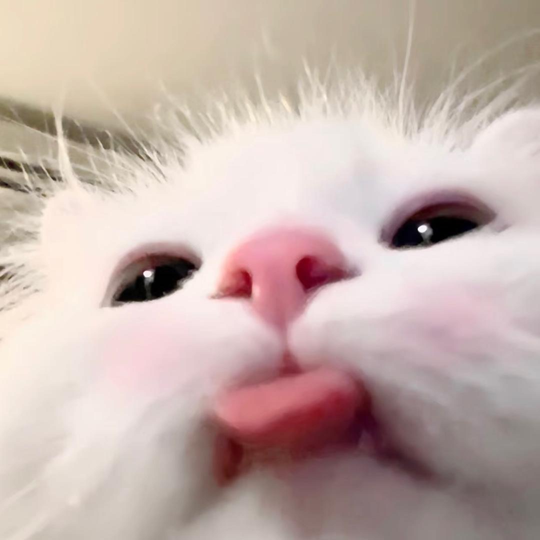 OvO