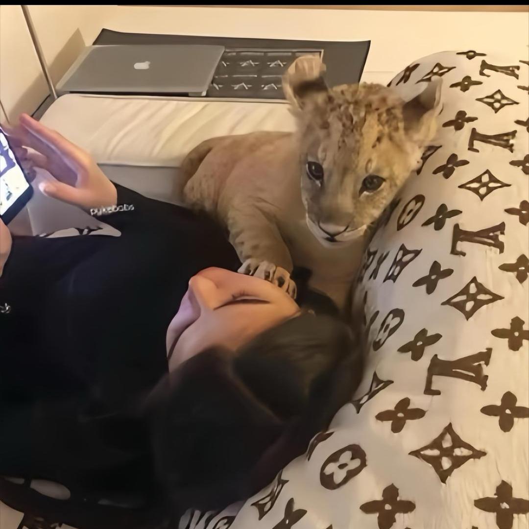 我知道了你滚吧