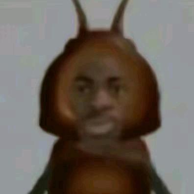 性感内向大肉包