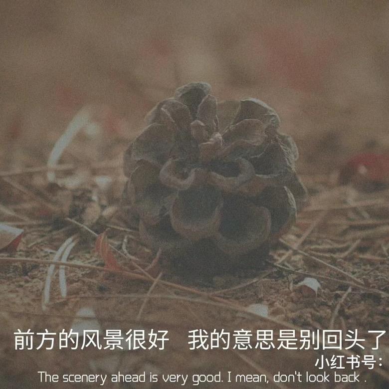 晓晓