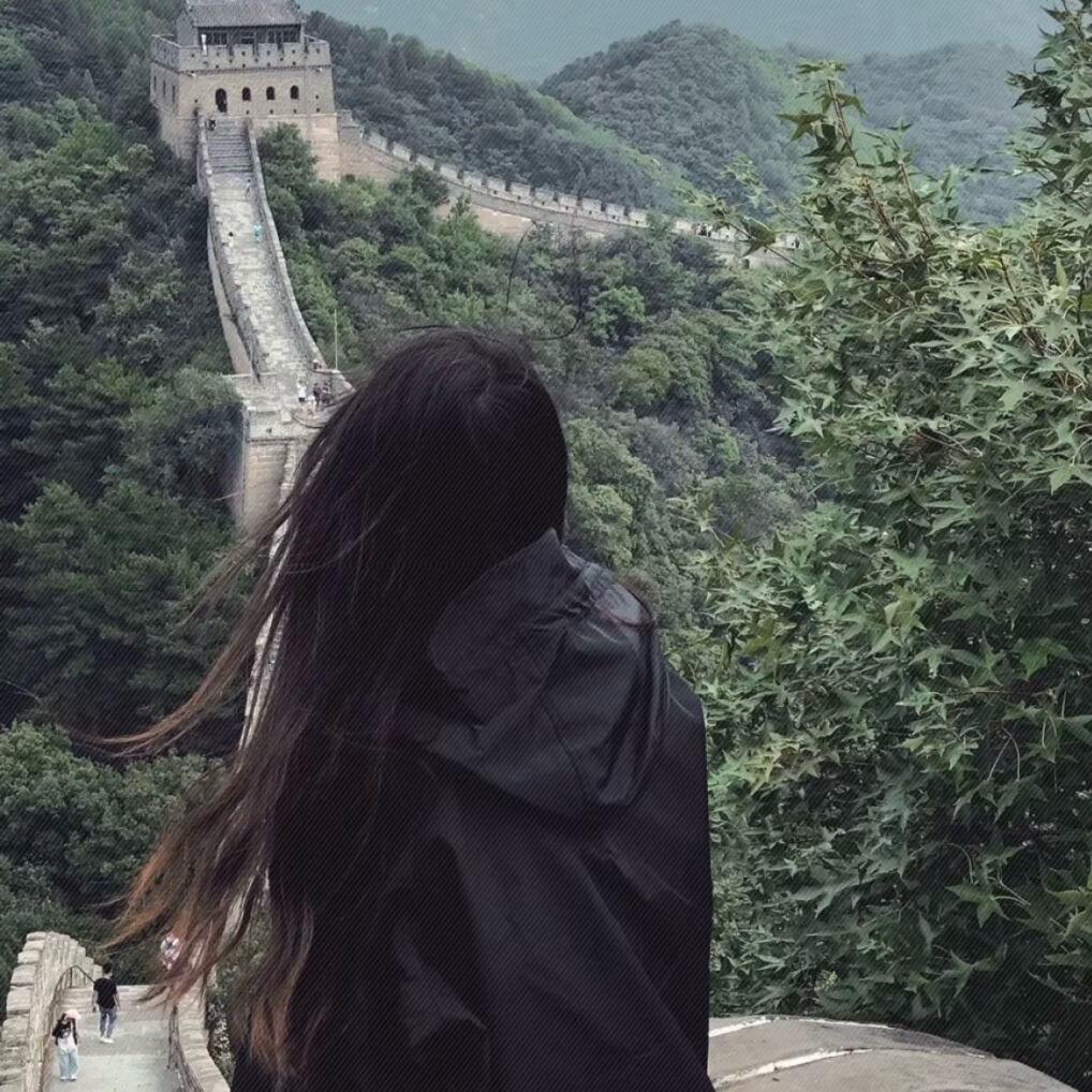 🌲