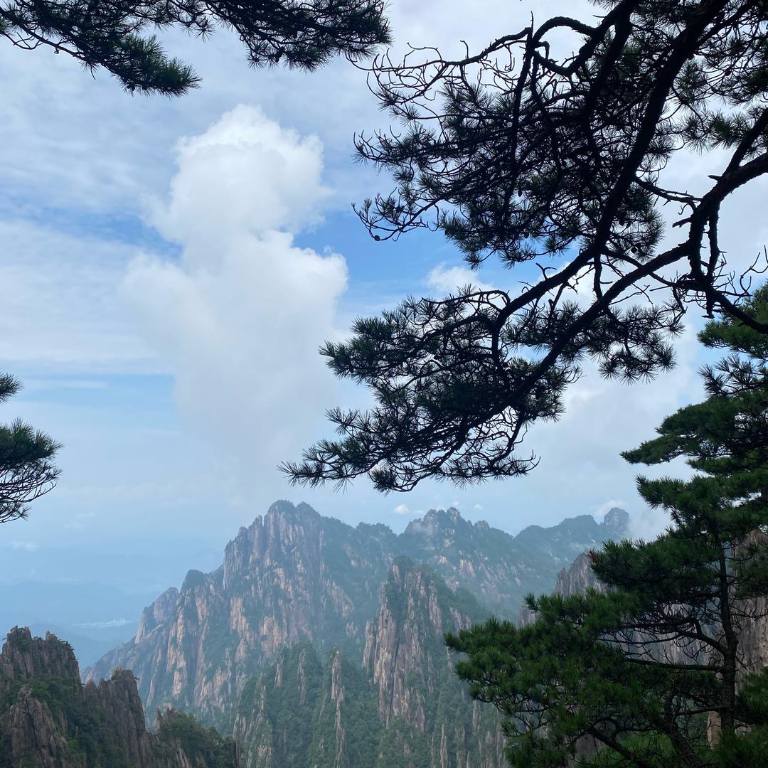 四升五阅读与写作✅