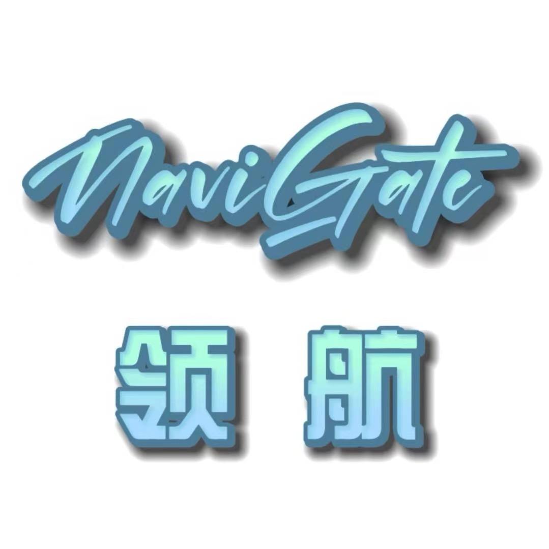 领航智能飞行专营店