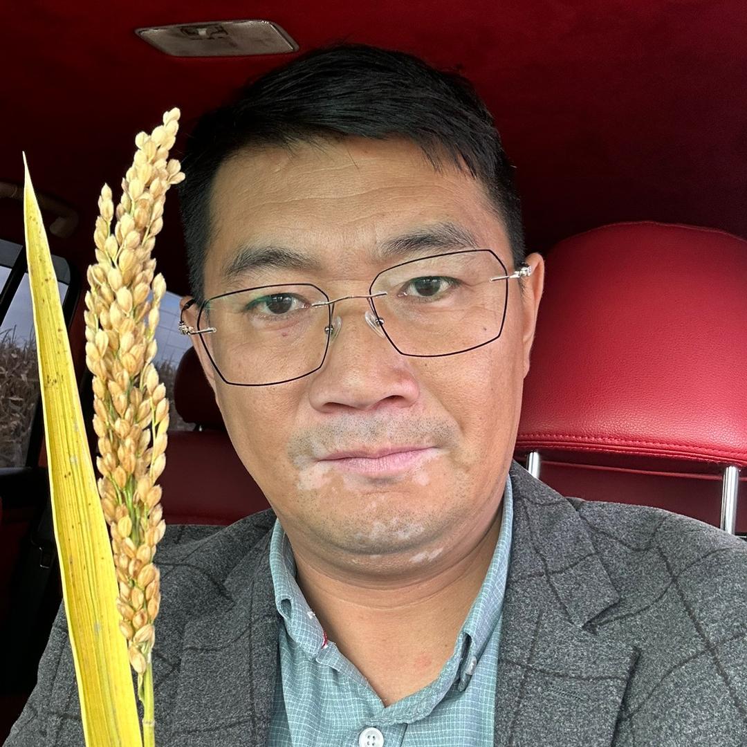 花脸说稻