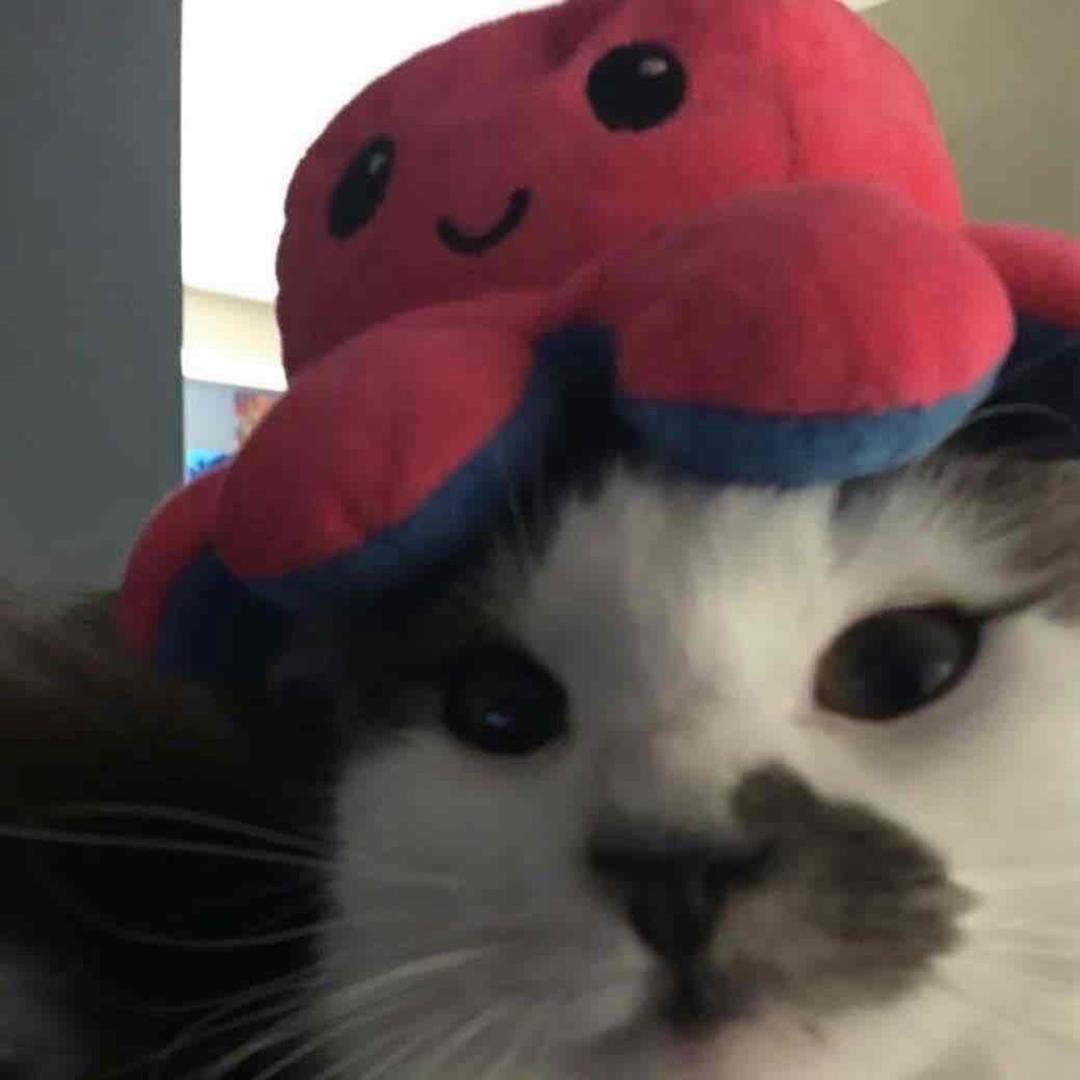 5 1 7
