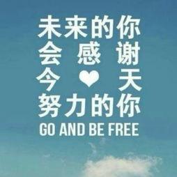 泰飞汽车用品