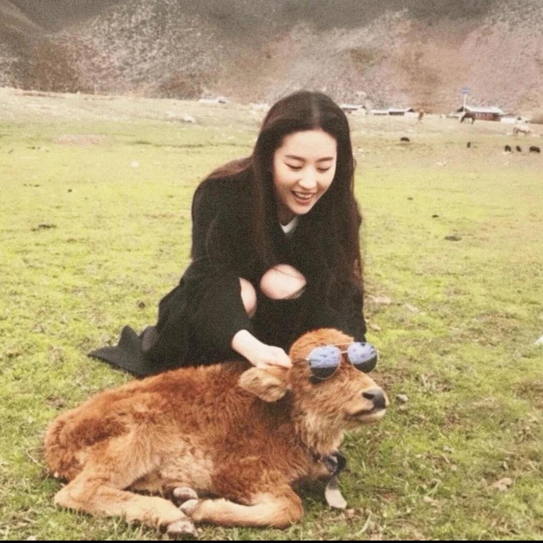 开心小耶
