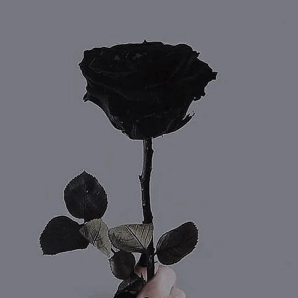 黑暗之中