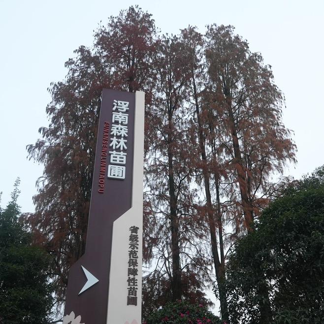 景德镇市浮南森林苗圃