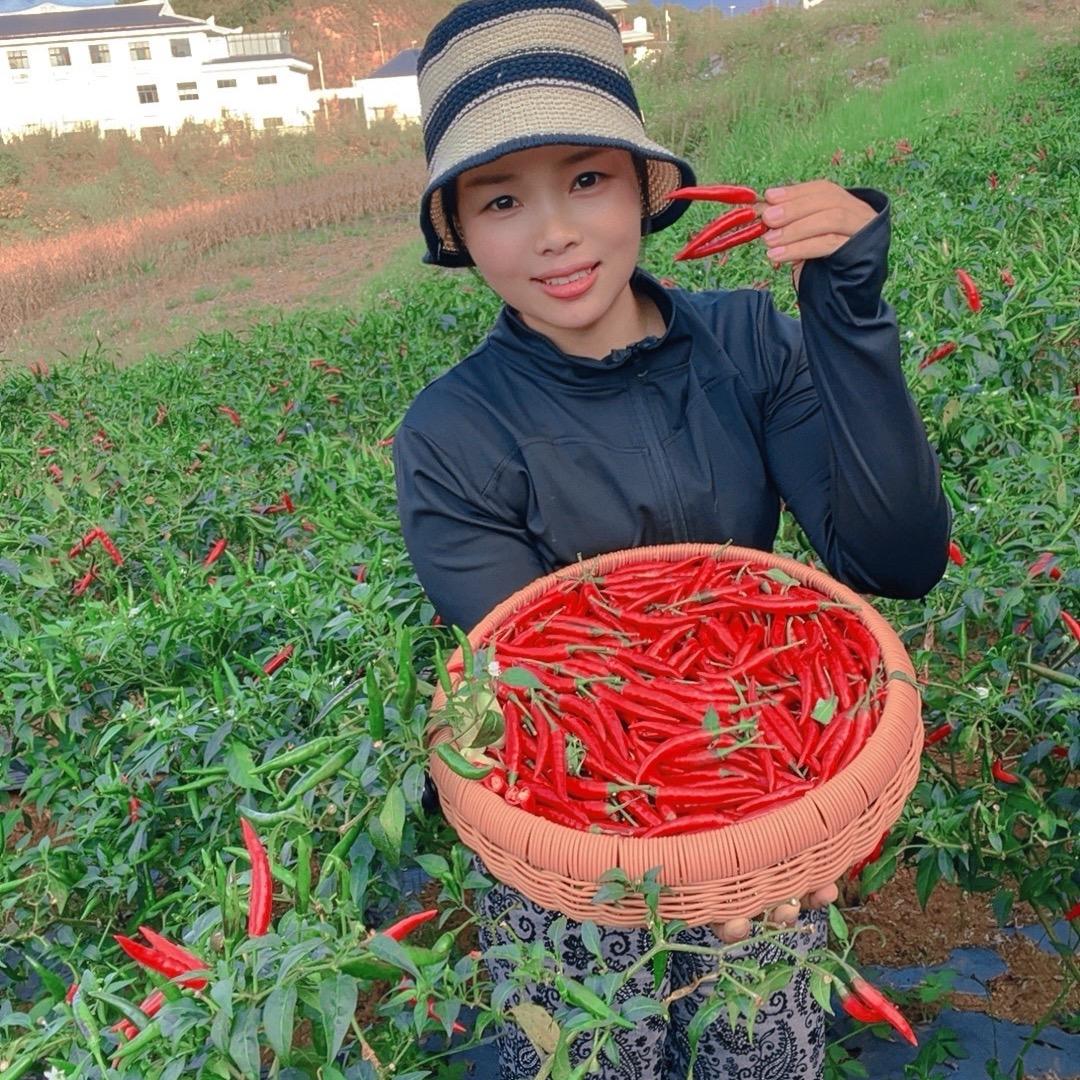 小辣妹（阿玉）