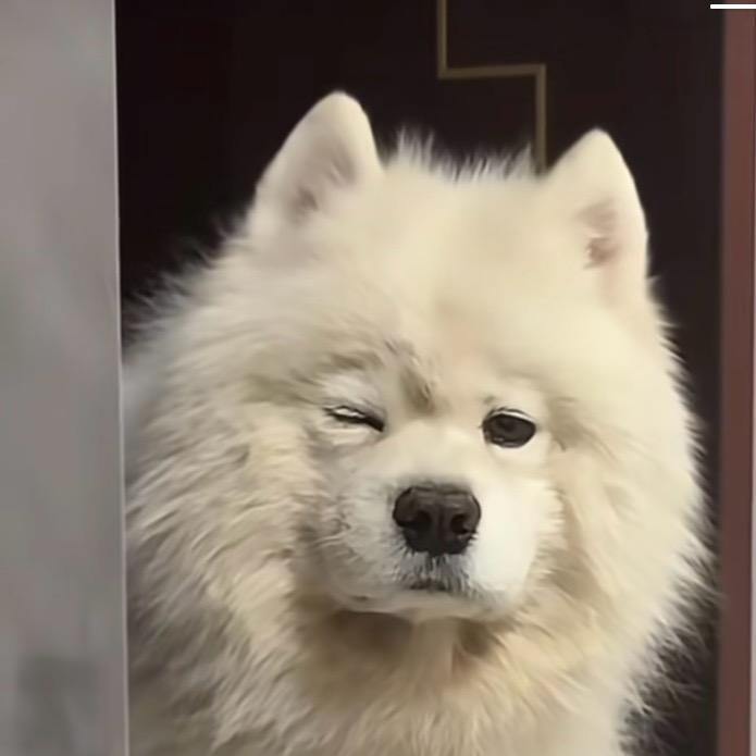 啊顺